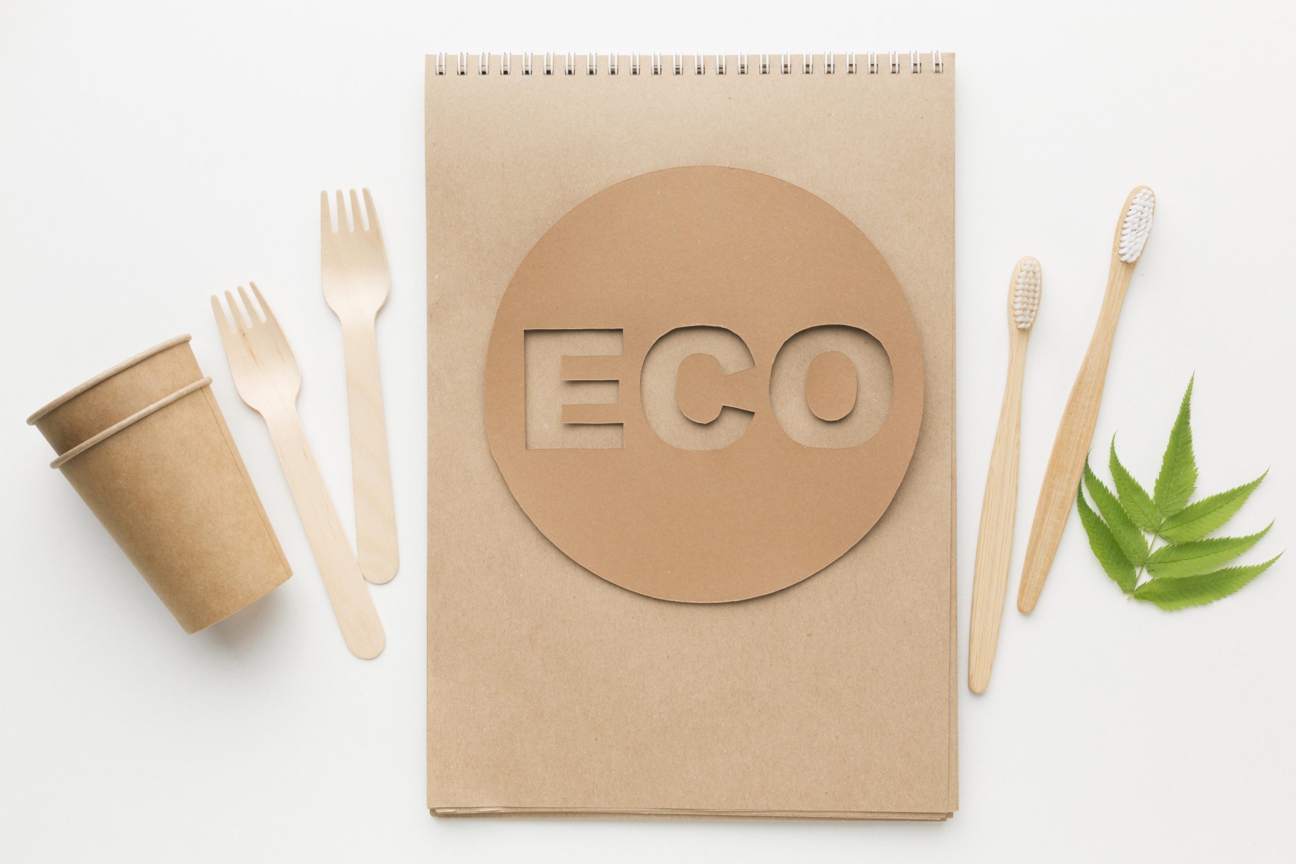 Eco Friendly Consumer Products