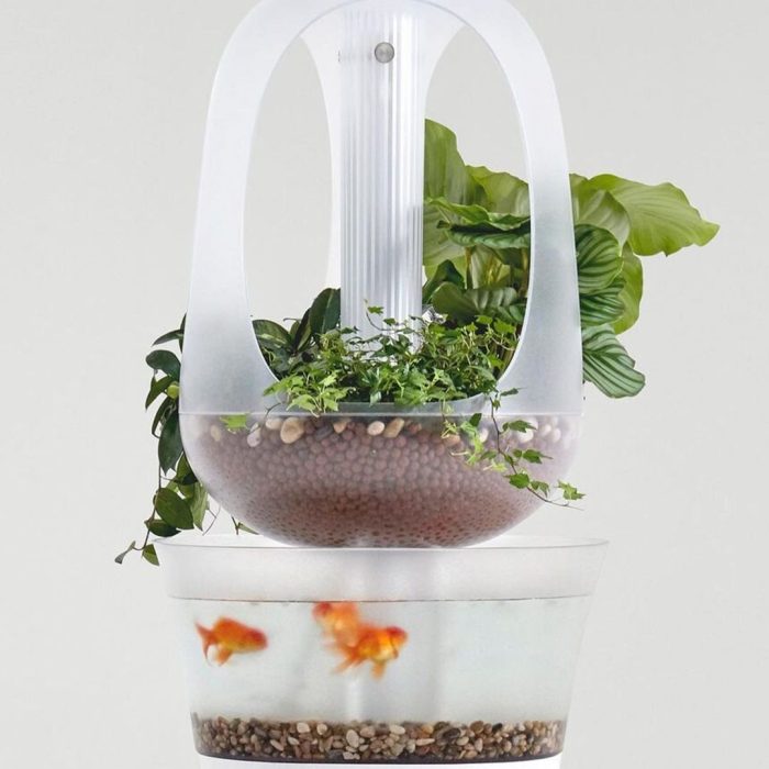 Eva Aquaponics Smart Indoor Plant & Fish Ecosystem